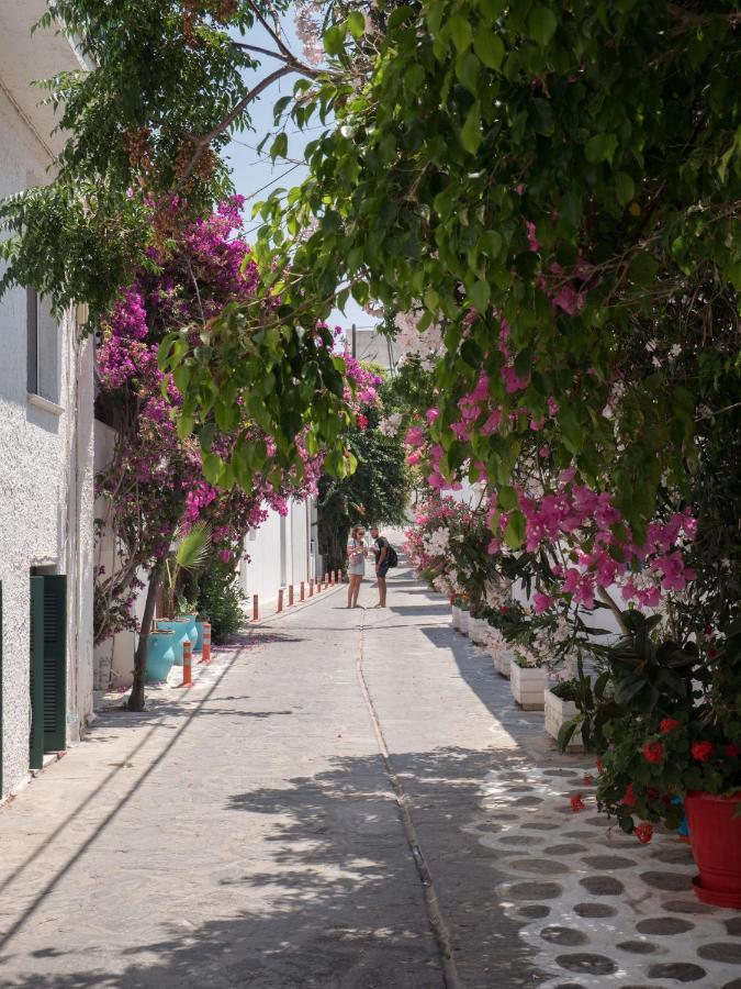 Terra Fos Naxos Studios Naxos City Eksteriør bilde